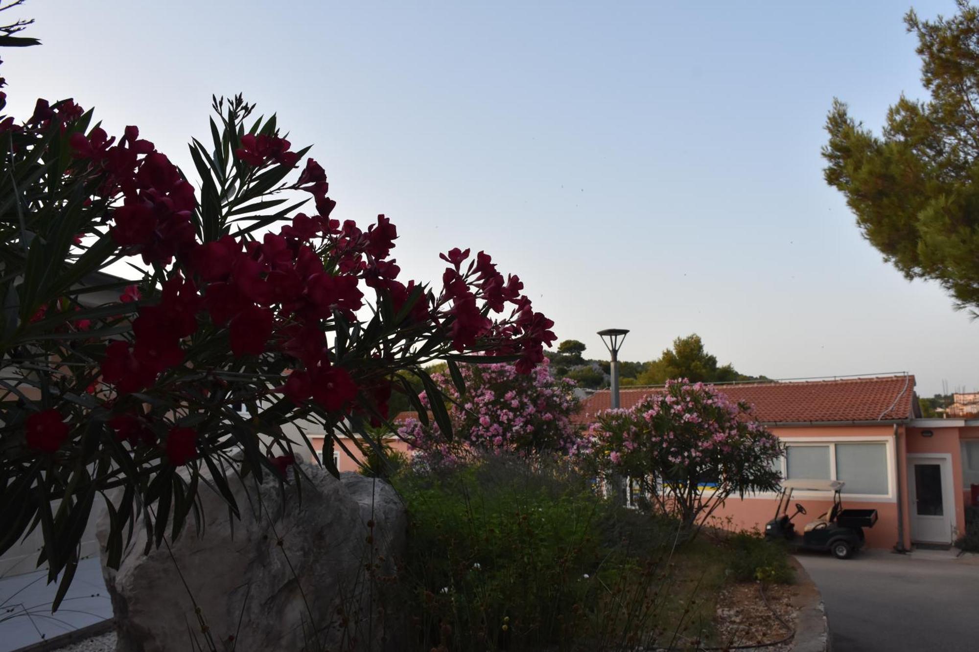 Oremore - Premium Mobile Home - Oaza Mira Camping, Drage Bagian luar foto